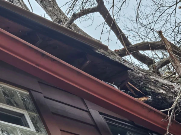 storm-damage-roof-inspection-milford-oh Tree damage on residential roof requiring storm damage inspection in Milford Ohio